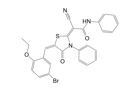 (2E)-2-[(5E)-5-(5-bromo-2-ethoxybenzylidene)-4-oxo-3-phenyl-1,3-thiazolidin-2-ylidene]-2-cyano-N-phenylethanamide