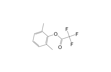 Acetic acid, trifluoro-, 2,6-dimethylphenyl ester