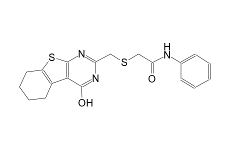 2-{[(4-hydroxy-5,6,7,8-tetrahydro[1]benzothieno[2,3-d]pyrimidin-2-yl)methyl]sulfanyl}-N-phenylacetamide