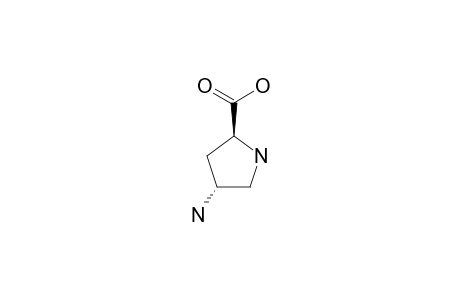 TRANS-4-AMINOPROLINE