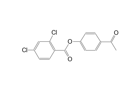 4-Acetylphenyl 2,4-dichlorobenzoate