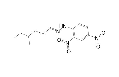 Hexanal, 4-methyl-, (2,4-dinitrophenyl)hydrazone
