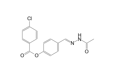 4-[(E)-(2-acetylhydrazono)methyl]phenyl 4-chlorobenzoate