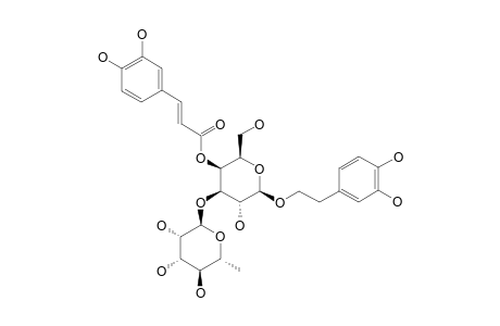 1'-O-BETA-(3,4-DIHYDROXYPHENYL)-ETHYL-4'-O-CAFFEOYL-ALPHA-L-RHAMNOPYRANOSYL-(1->3')-D-GALACTOPYRANOSIDE