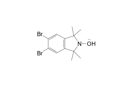 5,6-Dibromo-1,1,3,3-tetramethylisoindoline-2-yloxyl