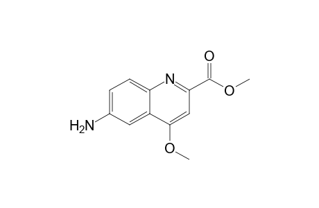 6-amino-4-methoxy-2-quinolinecarboxylic acid methyl ester