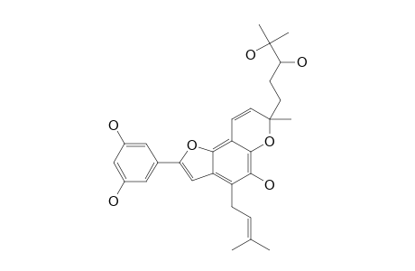 WITTIFURAN-H