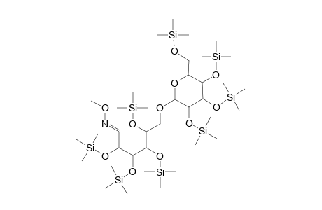 Isomaltose methoxime, octa-TMS, isomer 1