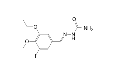 3-ethoxy-5-iodo-4-methoxybenzaldehyde semicarbazone