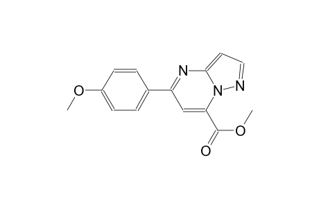 pyrazolo[1,5-a]pyrimidine-7-carboxylic acid, 5-(4-methoxyphenyl)-, methyl ester