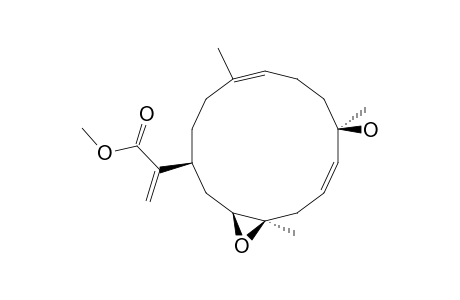 Uproeunioloic Acid - Methyl Ester