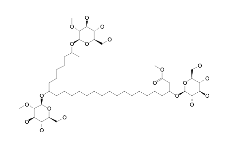 3-(BETA-D-GLUCOPYRANOSYLOXY)-19,25-DI-(2-O-METHYL-BETA-D-GLUCOPYRANOSYLOXY)-HEXACOSANOATE