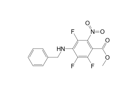 Benzoic acid, 2,3,5-trifluoro-6-nitro-4-[(phenylmethyl)amino]-, methyl ester