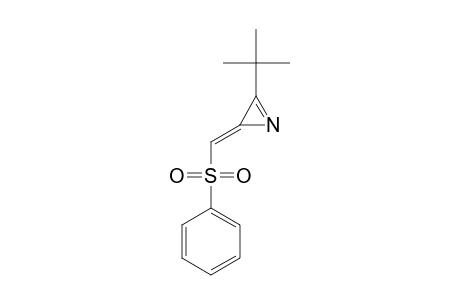 E/Z-3-TERT.-BUTYL-2-[(PHENYLSULFONYL)-METHYLENE]-2H-AZIRINE;MAJOR-ISOMER