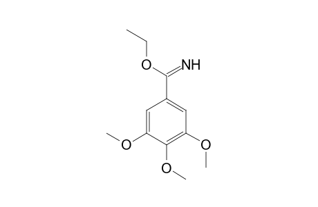 Ethyl-3,4,5-trimethoxybenzimidate