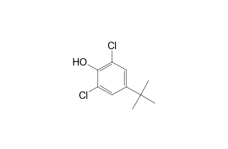 2,6-Dichloro-4-(1,1-dimethylethyl)phenol