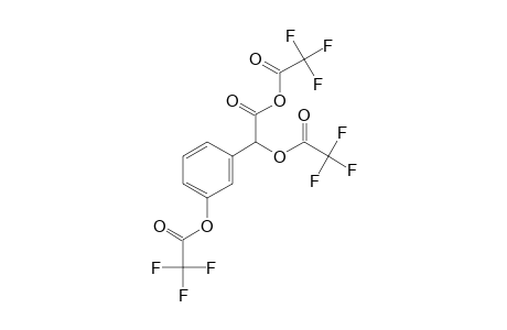 3-Hydroxymandelic acid, o,o'-di(trifluoroacetyl) ether-, trifluoroacetyl acid anhydride