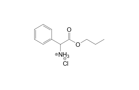 Benzeneacetic acid, alpha-amino-, propyl ester, hydrochloride, (+/-)-