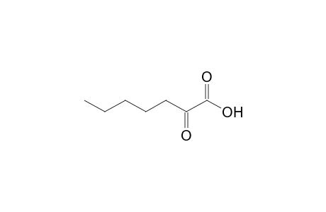 2-oxoheptanoic acid