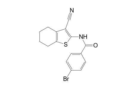 4-Bromo-N-(3-cyano-4,5,6,7-tetrahydro-1-benzothien-2-yl)benzamide