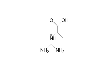 2-Methyl-glycocyamine cation