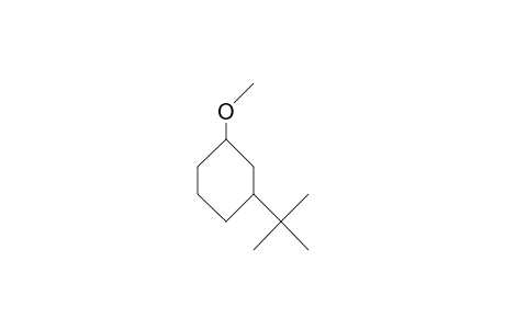cis-3-tert-Butyl-1-methoxy-cyclohexane