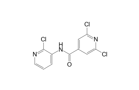 N-(2-chloro-3-pyridyl)-2,6-dichloroisonicotinamide