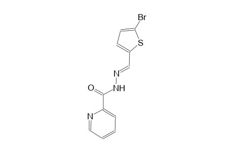 N'-[(E)-(5-bromo-2-thienyl)methylidene]-2-pyridinecarbohydrazide