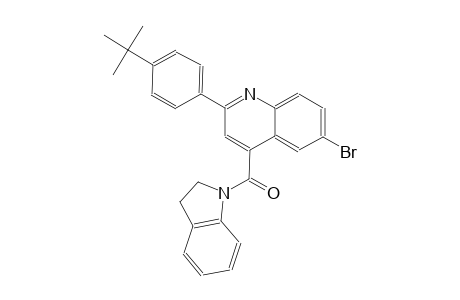 6-bromo-2-(4-tert-butylphenyl)-4-(2,3-dihydro-1H-indol-1-ylcarbonyl)quinoline