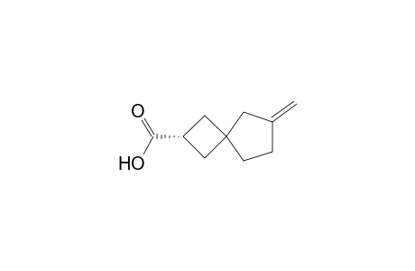 Spiro[3.4]octane-2-carboxylic acid, 6-methylene-, cis-