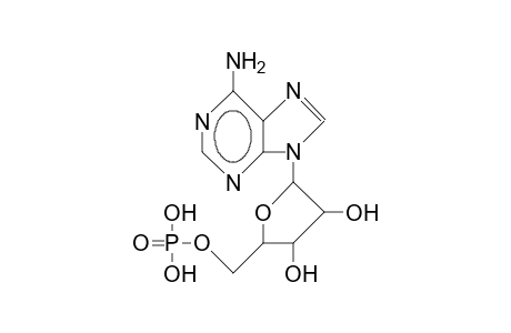 Adenosine monophosphate