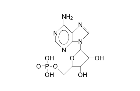 Adenosine monophosphate