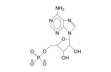 Adenosine-5'-monophosphate dianion