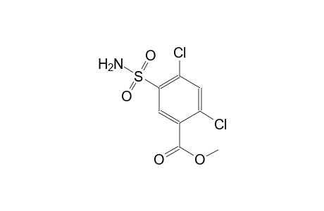 2,4-Dichloro-5-sulfamoyl-benzoic acid methyl ester