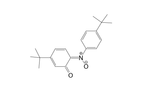 1-[4'-(t-Butyl)-2'-oxocyclohexa-2',4'-dienylidene)amino]-4-(t-butyl)benzene-N-oxide