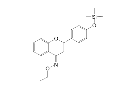 Flavanone <4'-hydroxy-> ethoxime, mono-TMS, isomer 2