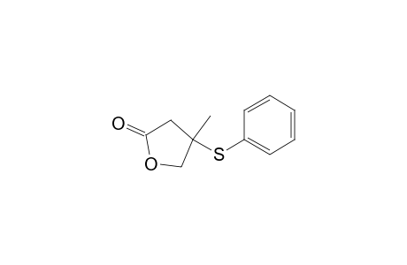 2(3H)-Furanone, dihydro-4-methyl-4-(phenylthio)-