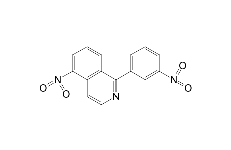 5-NITRO-1-(m-NITROPHENYL)ISOQUINOLINE