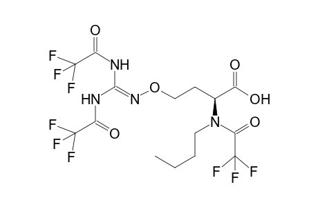 Canavanine-N-triTFA-n-butyl ester
