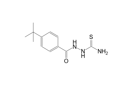 2-(4-tert-butylbenzoyl)hydrazinecarbothioamide