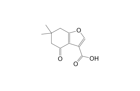 6,6-dimethyl-4-oxo-4,5,6,7-tetrahydro-1-benzofuran-3-carboxylic acid