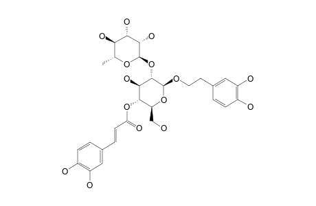 2-(3,4-DIHYDROXYPHENYL)-ETHYL-2-O-[6-DEOXY-ALPHA-L-MANNOPYRANOSYL-4-(3,4-DIHYDROXYPHENYL)-2-PROPENOATE]-BETA-D-GLUCOPYRANOSIDE