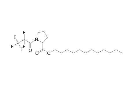 L-Proline, N-pentafluoropropionyl-, dodecyl ester