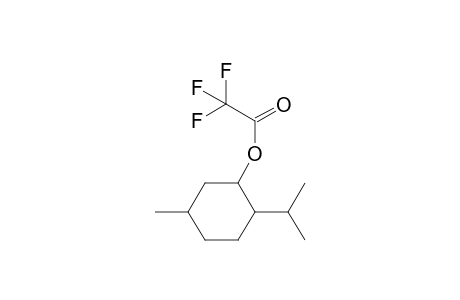 O-Trifluoroacetyl-isomenthol