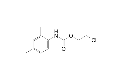 2,4-dimethylcarbanilic acid, 2-chloroethyl ester