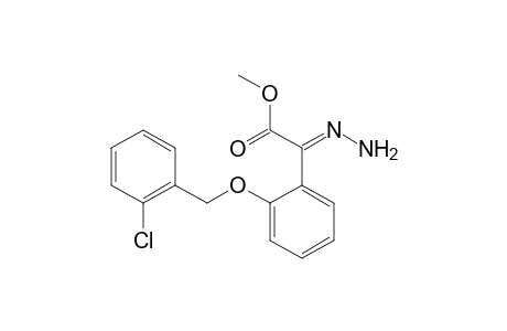 Benzeneacetic acid, 2-[(2-chlorophenyl)methoxy]-alpha-hydrazono-,methyl ester