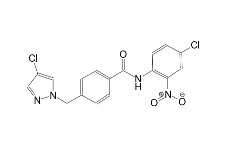 N-(4-chloro-2-nitrophenyl)-4-[(4-chloro-1H-pyrazol-1-yl)methyl]benzamide