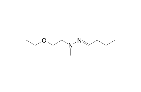 Butanal, (2-ethoxyethyl)methylhydrazone
