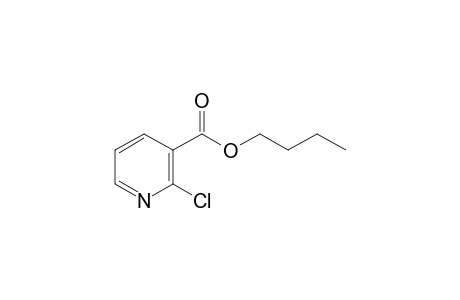 Butyl 2-chloronicotinate