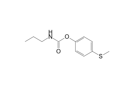 Carbamic acid, propyl-, 4-(methylthio)phenyl ester